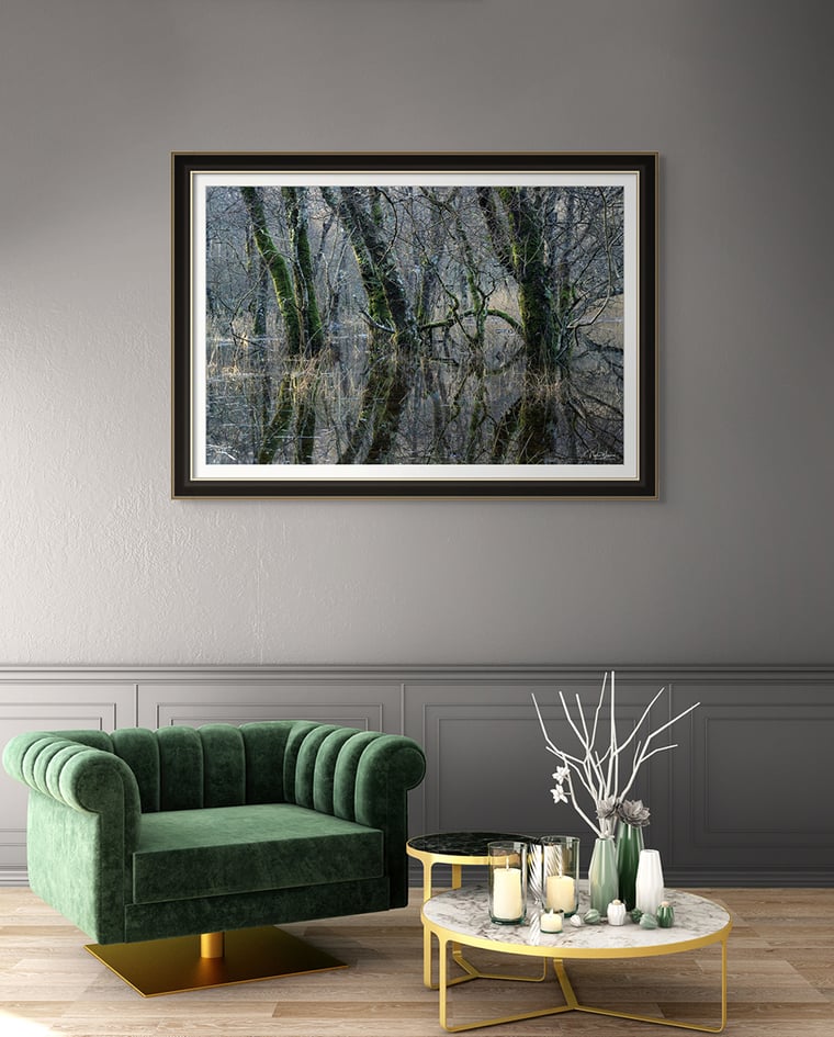 Signed Limited Edition Fine Art Woodland Print titled Submerged Sovereignty.